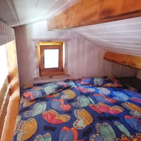 Kleines Studio Im Eichenwaeldchen, 1 Zimmer Kueche Bad Friedrichsgrun Екстер'єр фото
