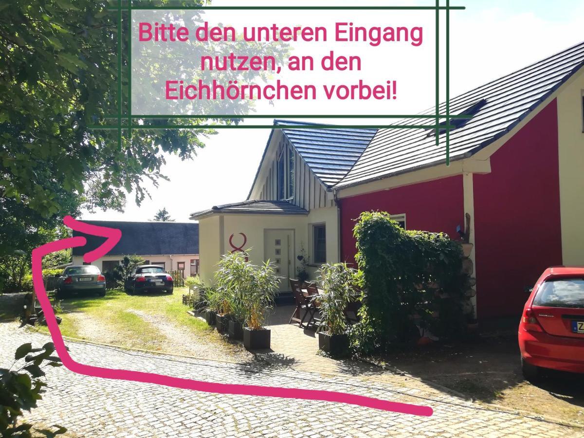 Kleines Studio Im Eichenwaeldchen, 1 Zimmer Kueche Bad Friedrichsgrun Екстер'єр фото