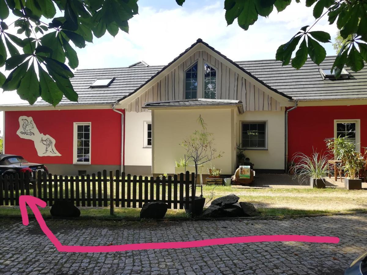 Kleines Studio Im Eichenwaeldchen, 1 Zimmer Kueche Bad Friedrichsgrun Екстер'єр фото