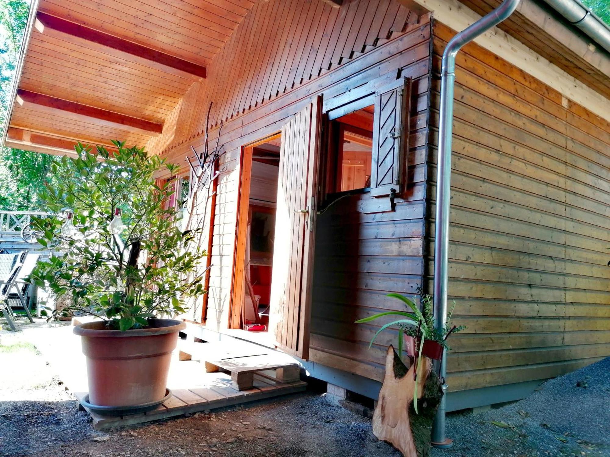 Kleines Studio Im Eichenwaeldchen, 1 Zimmer Kueche Bad Friedrichsgrun Екстер'єр фото